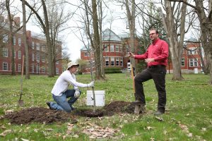 Tim Riley planting a tree in Arboretum
