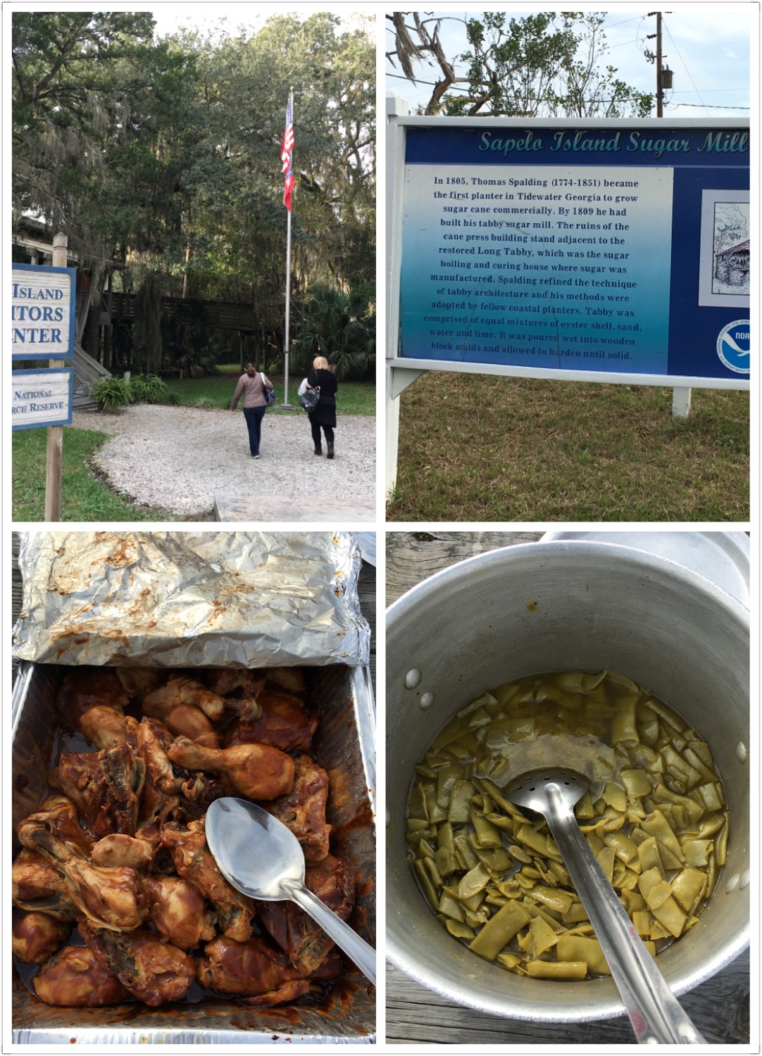 Snapshots from the visit to Sapelo Island.
